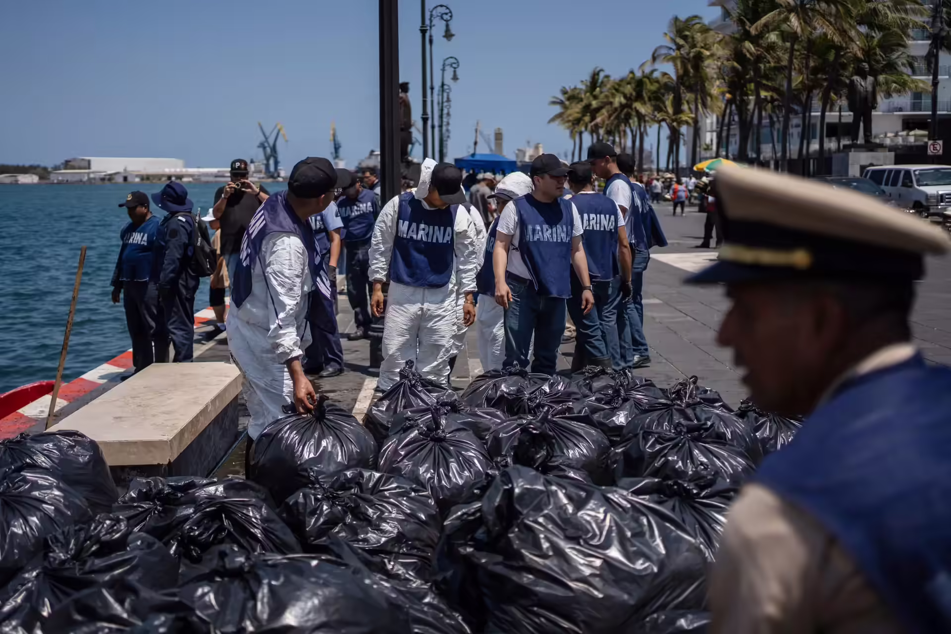 Mexico Oil Spill