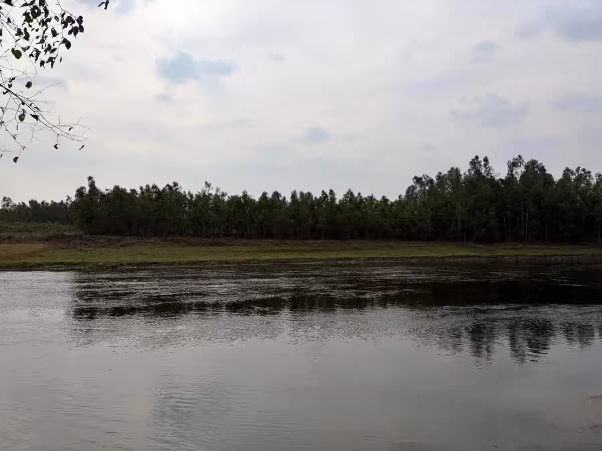 Rudravrat