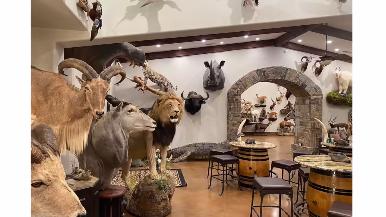 The veteran hunter kept an extensive collection of animal trophies at his California home